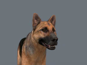 my dog - 3d animated dog model 3D Model