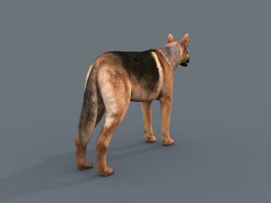 my dog - 3d animated dog model 3D Model