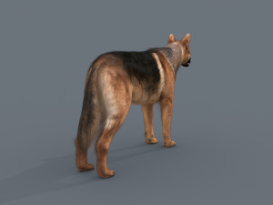 my dog - 3d animated dog model 3Dモデル