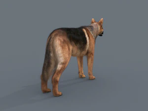 my dog - 3d animated dog model 3D Model