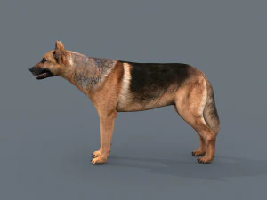 my dog - 3d animated dog model 3D Model