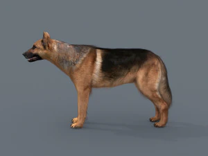 my dog - 3d animated dog model 3D Model