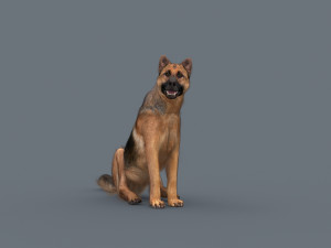 my dog - 3d animated dog model 3Dモデル