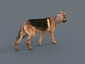 my dog - 3d animated dog model 3D Model