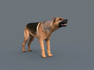 my dog - 3d animated dog model 3D Model
