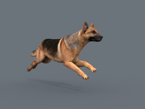 my dog - 3d animated dog model 3Dモデル