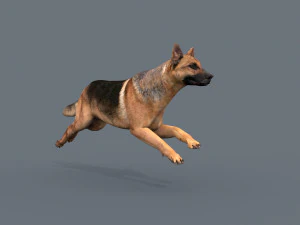 my dog - 3d animated dog model 3D Model