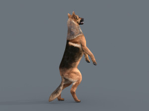 my dog - 3d animated dog model 3Dモデル