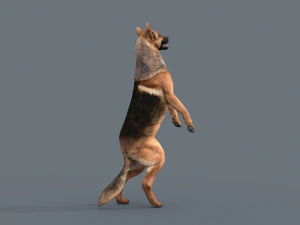 my dog - 3d animated dog model 3D Model