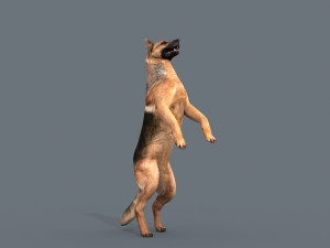 my dog - 3d animated dog model 3Dモデル