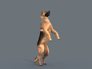my dog - 3d animated dog model 3D Model