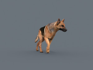 my dog - 3d animated dog model 3Dモデル