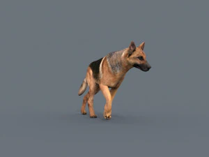 my dog - 3d animated dog model 3D Model