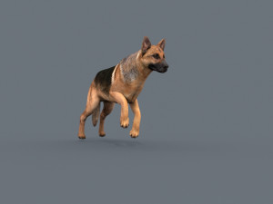 my dog - 3d animated dog model 3Dモデル
