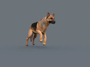 my dog - 3d animated dog model 3D Model