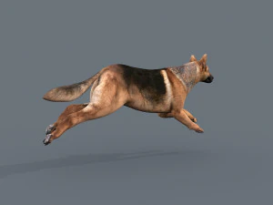 my dog - 3d animated dog model 3D Model