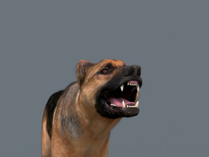 my dog - 3d animated dog model 3Dモデル