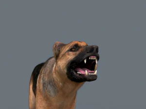 my dog - 3d animated dog model 3D Model