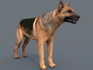 my dog - 3d animated dog model 3D Model