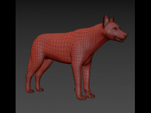 my dog - 3d animated dog model 3Dモデル