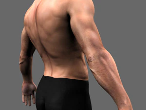 athleticus 3D Model
