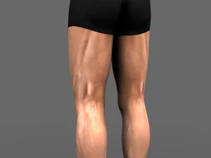 athleticus 3D Model