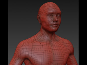 athleticus Model 3D