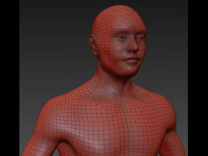 athleticus 3D Model