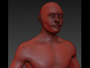 athleticus 3D Model