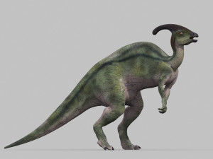 parasaurolophus 8192 hd - 3d animated model 3D Model