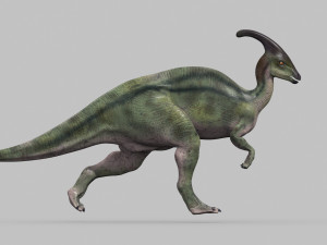parasaurolophus 8192 hd - 3d animated model 3D Model