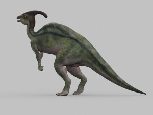 parasaurolophus 8192 hd - 3d animated model 3D Model