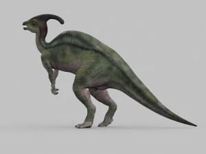 parasaurolophus 8192 hd - 3d animated model 3D Model