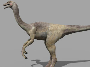 gallimimus 8192 hd - 3d animated model 3D Model