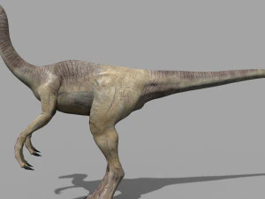 gallimimus 8192 hd - 3d animated model 3D Model