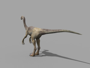 gallimimus 8192 hd - 3d animated model Model 3D