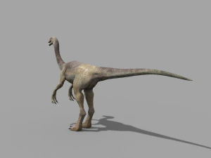 gallimimus 8192 hd - 3d animated model 3D Model