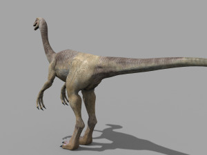 gallimimus 8192 hd - 3d animated model Model 3D