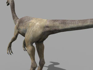 gallimimus 8192 hd - 3d animated model 3D Model