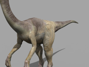 gallimimus 8192 hd - 3d animated model Model 3D