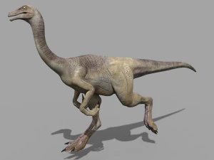 gallimimus 8192 hd - 3d animated model 3D Model