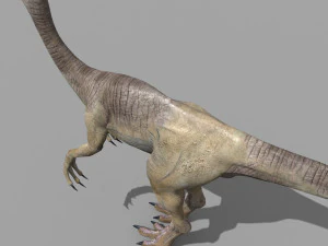gallimimus 8192 hd - 3d animated model 3D Model