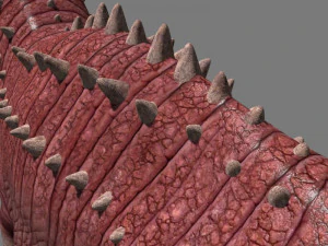 ressurrei&ccedil;&atilde;o do carnotauro Modelo 3D