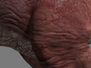 ressurrei&ccedil;&atilde;o do carnotauro Modelo 3D