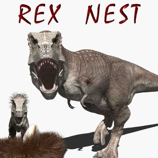 rex nest 3D Model .c4d .max .obj .3ds .fbx .stl .blend