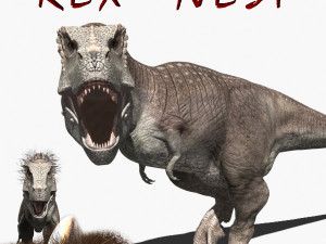 rex nest 3D Model