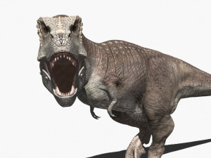 rex nest Modelo 3D