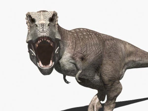 rex nest 3D Model