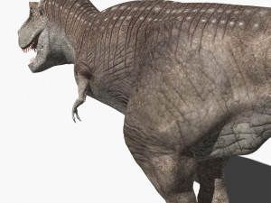 rex nest Modelo 3D