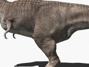 rex nest 3D Model